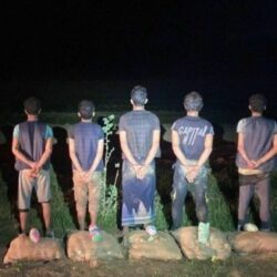 مرور نجران يقبض على مقيمين لترويجهما مادة الحشيش المخدر