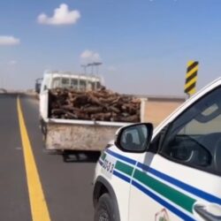 حرس الحدود بعسير يحبط محاولة تهريب 44925 قرصًا خاضعًا لتنظيم التداول الطبي و12 كيلوجرامًا من مادة الحشيش المخدر و4 أسلحة نارية