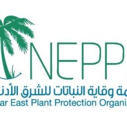 وكيل وزارة الشؤون الإسلامية يلتقي مبعوثي الوزارة في أمريكا اللاتينية ودول البحر الكاريبي