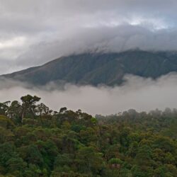 قوات الاحتلال تواصل منع وصول الوقود لمستشفيات شمال قطاع غزة