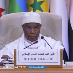 أمين جامعة الدول العربية يشدد على أهمية الوقف الكامل لإطلاق النار في قطاع غزة ووقف توسيع رقعة الحرب