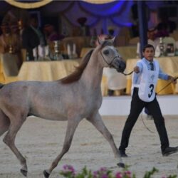 الأرصاد: أمطار رعدية مصحوبة بزخات من البرد على هذه المناطق
