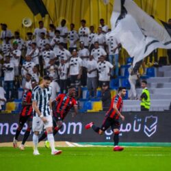 حرس الحدود بجازان يحبط محاولة تهريب 84 كيلوجرامًا من نبات القات المخدر