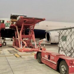 الدكتور الربيعة يزور مركز الخدمات اللوجستية التابع للهلال الأحمر المصري في مدينة العريش