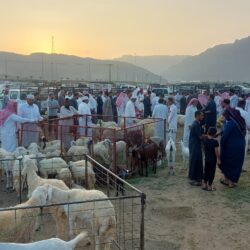 أمانة جدة تضبط كميات كبيرة من مشتقات التبغ مجهولة المصدر