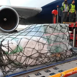 ضبط (17556) مخالفاً لأنظمة الإقامة والعمل وأمن الحدود