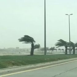 مجمع الملك سلمان العالمي للغة العربية يُطلق “معمل الابتكار للجلسات التفاعلية”