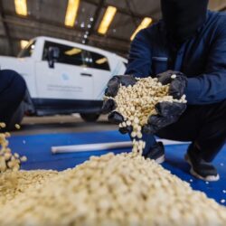 استقبال الدفعة الأولى من شحنات الجسر البحري السعودي لإغاثة المتضررين في غزة بميناء بورسعيد المصري