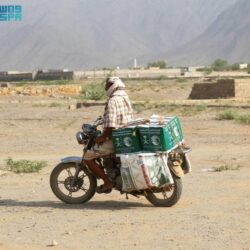 وزير الموارد البشرية يرأس اجتماع المجلس التنفيذي للمنظمة العربية للتنمية الإدارية في الرباط