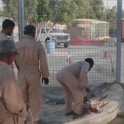 “تعليم مكة” يُطلق فعاليات الاحتفاء باليوم الدولي للتسامح في 1420 مدرسة