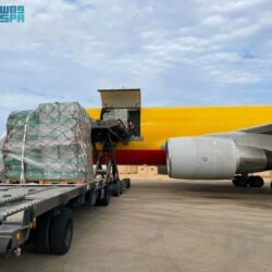 وزير الموارد البشرية يدشن “الإطار الوطني لسلامة الأطفال على الإنترنت”