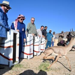 وكيل وزارة الشؤون الإسلامية يلتقي مبعوثي الوزارة في أمريكا اللاتينية ودول البحر الكاريبي