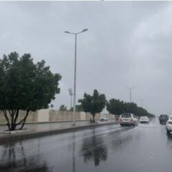 مغادرة الطائرة الإغاثية السعودية الـ 12 لإغاثة الشعب الفلسطيني في قطاع غزة