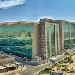 رئيس هيئة حقوق الإنسان تستعرض جهود المملكة في مكافحة التمييز ضد المرأة