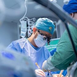 “الحياة الفطرية”: “الأرنب البري” يعيش بمعظم بيئات المملكة وغرامة صيده 18 ألف ريال