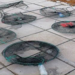 حملة إرشادية عن “السعار” بسوق الخميس بالعرضيات