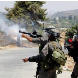 تنفيذ حكم القتل قصاصاً بأحد الجناة في منطقة مكة المكرمة