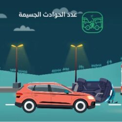 صندوق تنمية الموارد البشرية يحقق المركز الرابع في قياس التحول الرقمي على مستوى المالية والصناديق