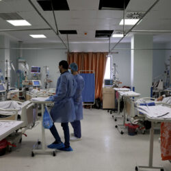 1200 مطية تتنافس في ثاني أيام سباقات الهجن بمهرجان الملك عبدالعزيز في نسخته الثامنة