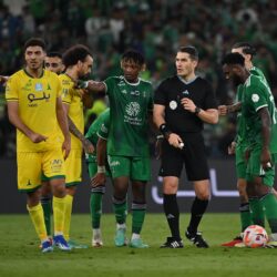 “العرفج”.. شجيرة معمرة توارث العرب عنها قصصاً وحكايات