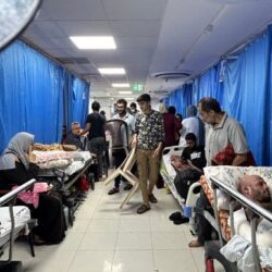 المصري طارق حامد محترف نادي ضمك يعتزل “دولياً”