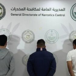 حرس الحدود: إحباط تهريب (252) كيلوجرامًا من نبات القات المخدر بعسير