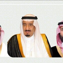 “الصحة” تحذّر من الاعتماد على المكملات الغذائية كبديل للأكل الصحي