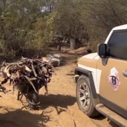 قوات الاحتلال الإسرائيلي تقتحم مستشفى كمال عدوان شمال قطاع غزة