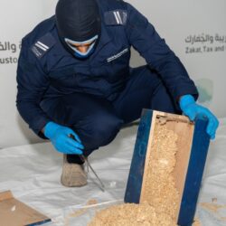 استقرار أسعار الذهب مع ترقب بيانات الوظائف الأمريكية