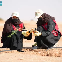 سفير المملكة لدى الغابون يقدم اوراق اعتماده سفيراً غير مقيم في ساو تومي