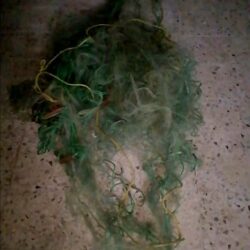 ببرامج متنوعة وفعاليات ثقافية .. تعليم القنفذة يحتفي باللغة العربية في يومها العالمي