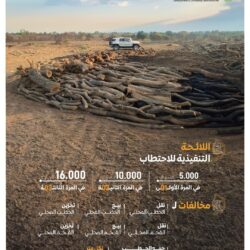 البريد السعودي والبريد العماني يصدران طابعاً بريدياً احتفاءً بافتتاح الطريق البري بين البلدين