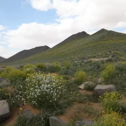 وزير الصناعة والثروة المعدنية يترأس وفد المملكة في اجتماعات اللجنة السعودية التونسية المشتركة