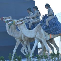 منظمة التعاون الإسلامي تشكر المملكة لمنحها المقر الجديد بجدة