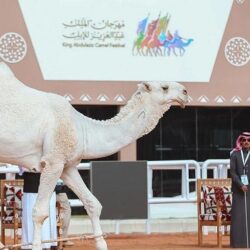 الصندوق السعودي للتنمية يشارك في الجناح السعودي على هامش المؤتمر العام لمنظمة “يونيدو”