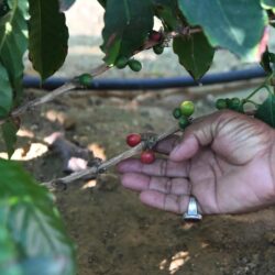 هيئة تقويم التعليم والتدريب تعلن الانتهاء من قياس الأداء الأكاديمي لعام ٢٠٢٣م للجامعات والكليات السعودية في (13) تخصصًا بالبرامج الأكاديمية