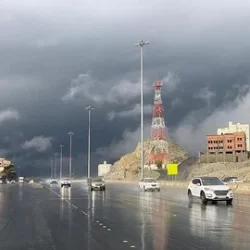 “أونروا”: الوضع في قطاع غزة تقشعر له الأبدان ورُبع السكان يتضورون جوعاً