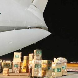 أمانة العاصمة المقدسة تُطلق مبادرة توعوية للوقاية من حمّى الضنك