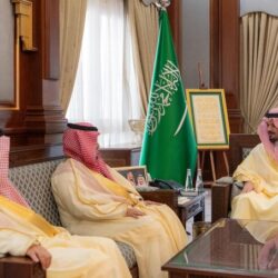 قراءة في كتاب: “أسلوب جبّة في الفنون الصخرية بالجزيرة العربية”