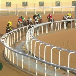 أكثر من 227 ألف مستفيد من الخدمات الصحية بمستشفى رفحاء العام خلال العام 2023