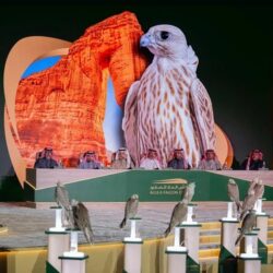 كلية الملك فهد الأمنية تحصل على الوسام البرونزي في برنامج “رواد الاستحقاق المحاسبي”