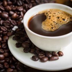 في مفاجأة غير متوقعة .. موريتانيا تُقصي الجزائر وتصعد لدور الـ 16 في أمم أفريقيا