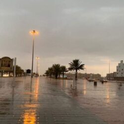 وزارة الداخلية تحقق المركز الأول لأفضل فيلم توعوي