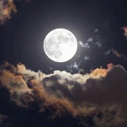 “الأرصاد”: رياح شديدة على محافظتي جدة ورابغ