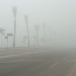 “يصيب البطانة الداخلية والأمعاء الدقيقة والغليظة” .. استشاري يكشف أسباب وأعراض مرض داء “كرون”