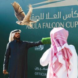 خلال 60 يوما.. فعاليات موسم الرياض تستقبل أكثر من 12 مليون زائر