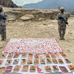 نادي سباقات الخيل يختتم مهرجان كؤوس الملوك والأمراء بنسخته التاسعة