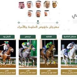 منتخب كوت ديفوار يفوز على غينيا بيساو بهدفين نظيفين في افتتاحية كأس أمم أفريقيا