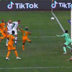 أمانة المدينة المنورة تعتمد أكثر 6 الف رخصة و4 الاف شهادة صحية عبر منصة بلدي خلال ديسمبر 2023