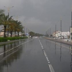 الأمن البيئي: 80 ألف ريال غرامة صيد الضبع